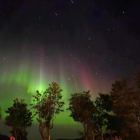 Lykkebo, Skjoldehamnveien 1151, Nygard, Andoy Villa Risoyhamn Exteriör bild