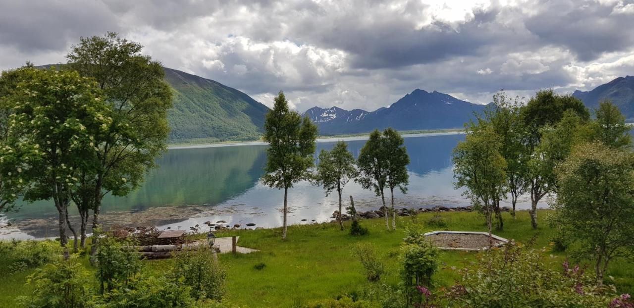 Lykkebo, Skjoldehamnveien 1151, Nygard, Andoy Villa Risoyhamn Exteriör bild