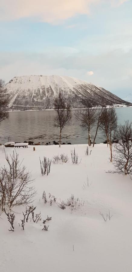Lykkebo, Skjoldehamnveien 1151, Nygard, Andoy Villa Risoyhamn Exteriör bild