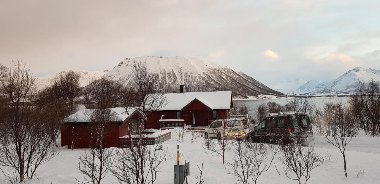 Lykkebo, Skjoldehamnveien 1151, Nygard, Andoy Villa Risoyhamn Exteriör bild