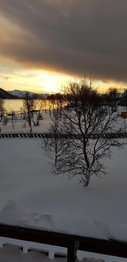Lykkebo, Skjoldehamnveien 1151, Nygard, Andoy Villa Risoyhamn Exteriör bild