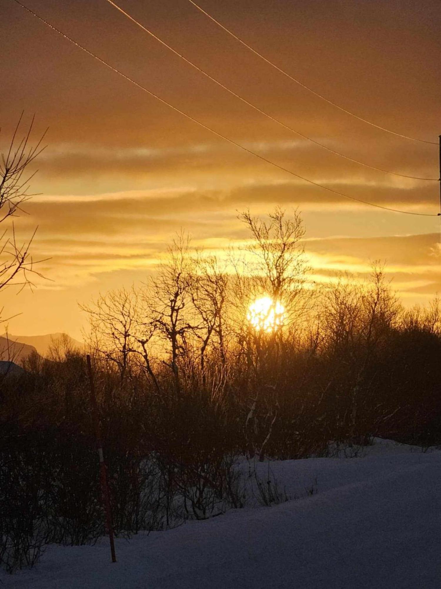 Lykkebo, Skjoldehamnveien 1151, Nygard, Andoy Villa Risoyhamn Exteriör bild